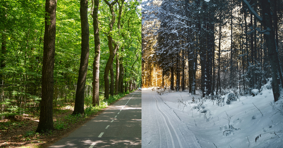 Untitled Design (19)