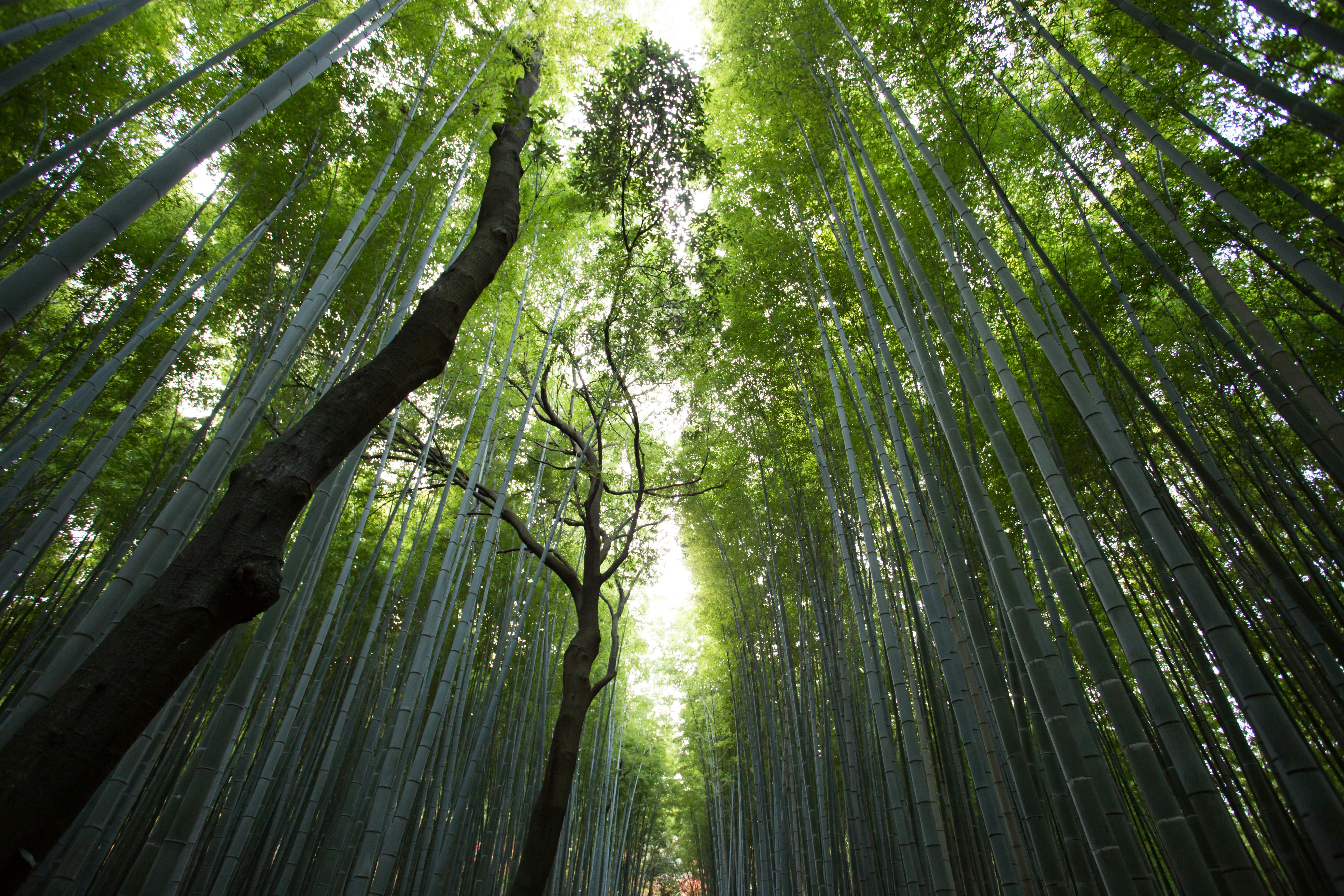 Jason Ortego Bu F62ew D Lc Q Unsplash