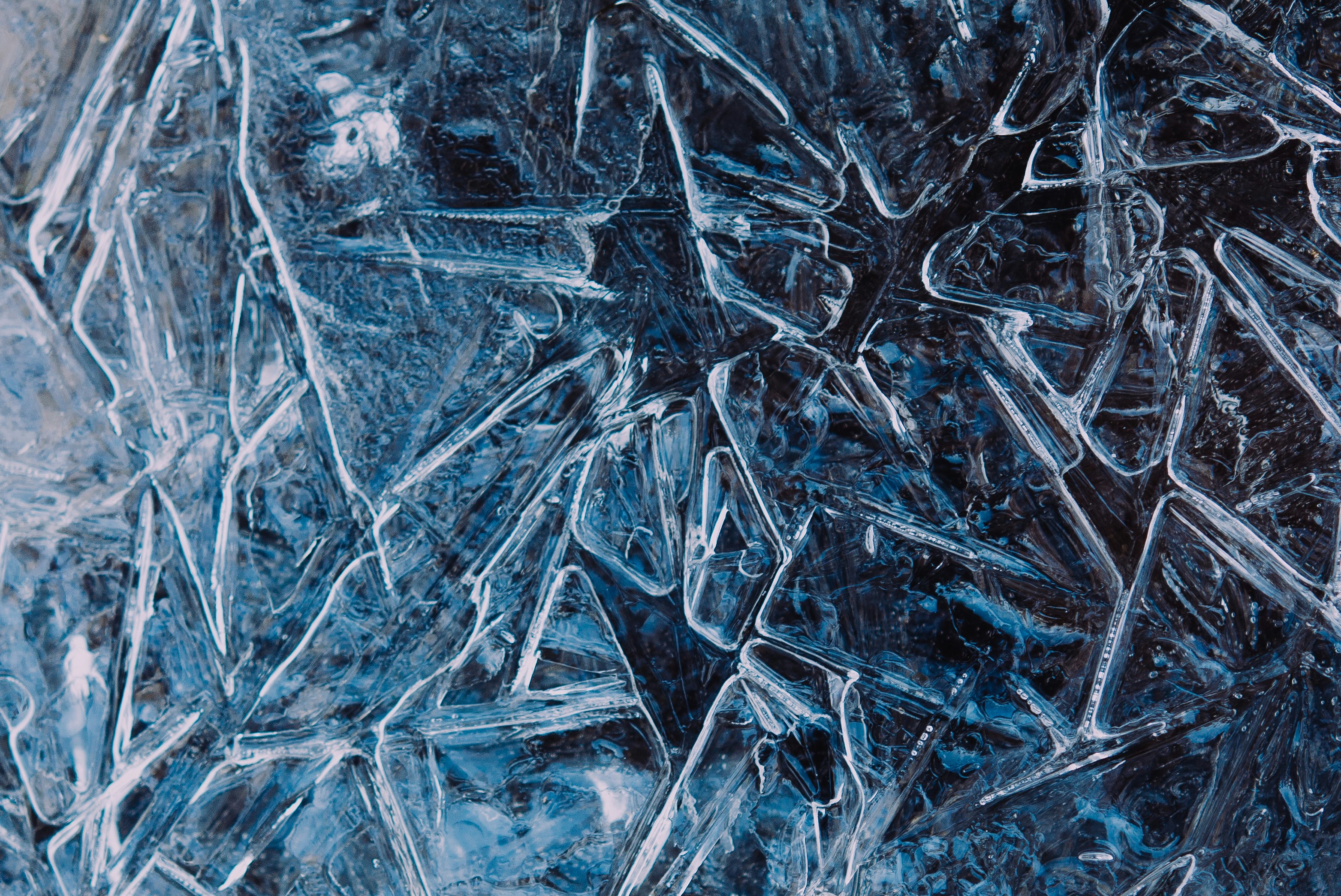 Erin Mckenna Qj Tu B3 T Mm Lm Unsplash