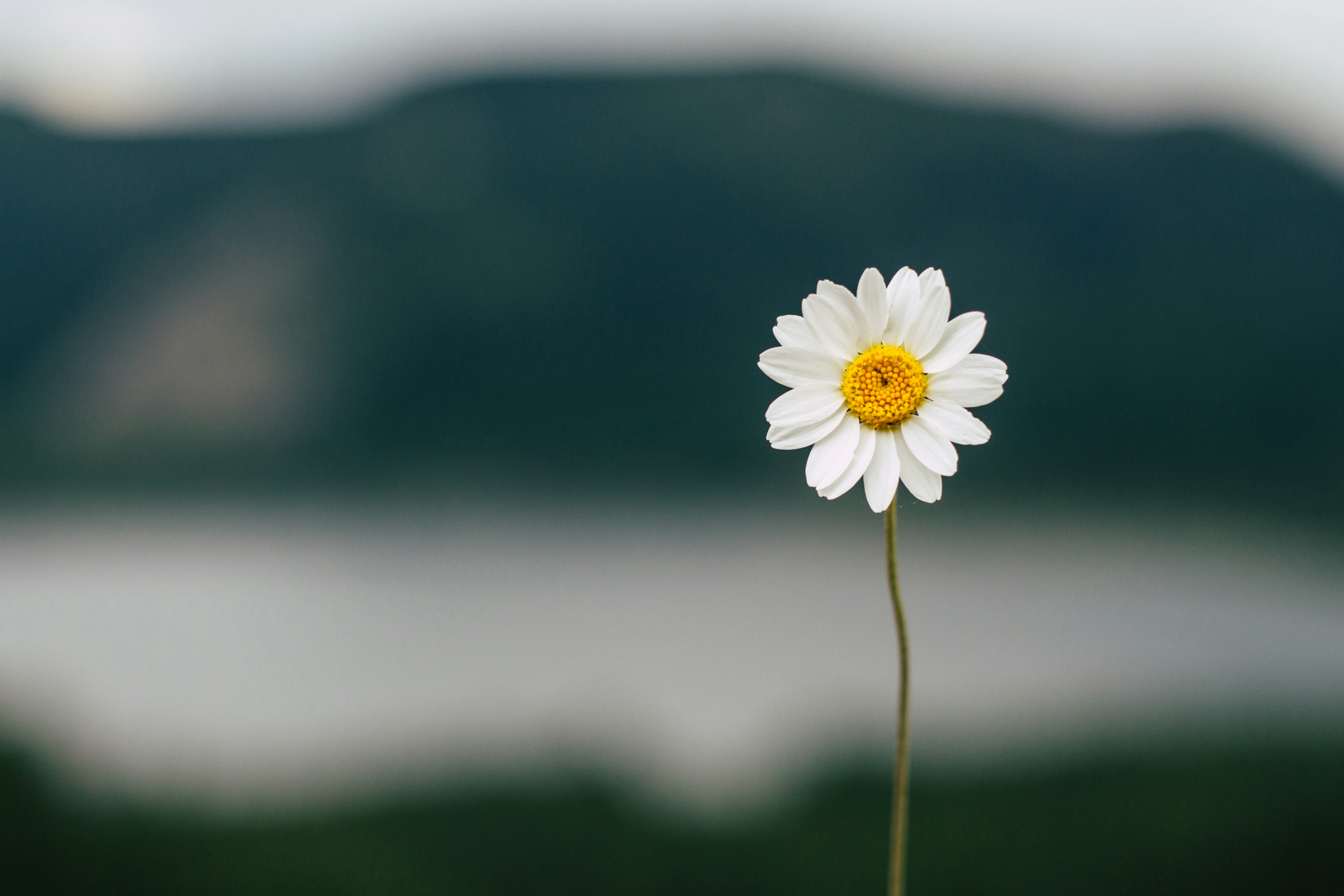 Berkan Kucukgul Ti M2 Wi Fy Ga4 Unsplash