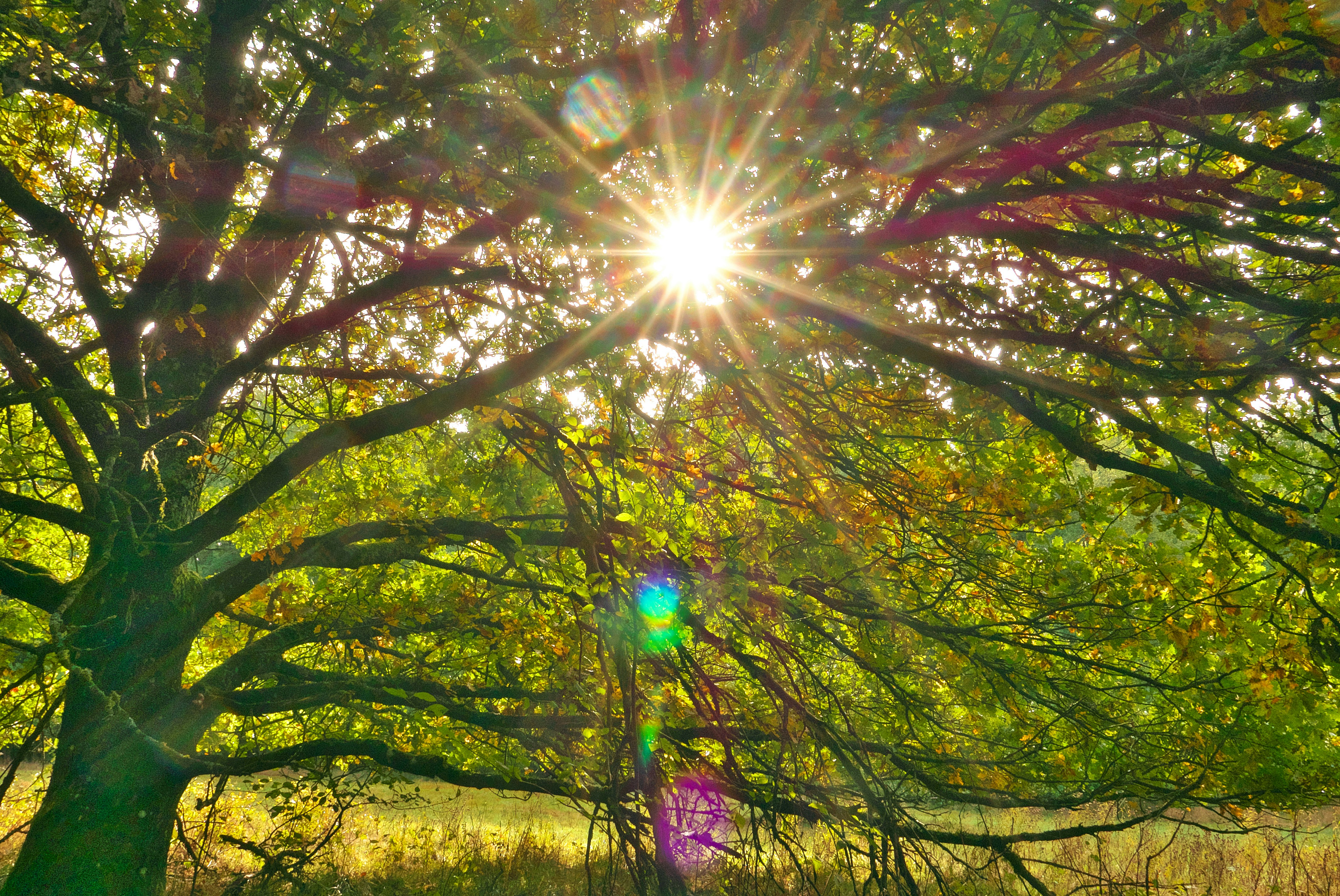 Immo Wegmann Su0a P7 Yek Unsplash